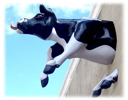 Life size cow