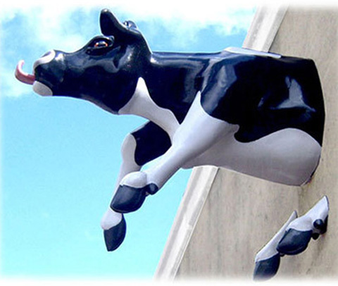 cow model